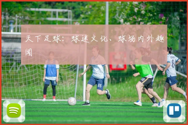 天下足球：球迷文化、球场内外趣闻