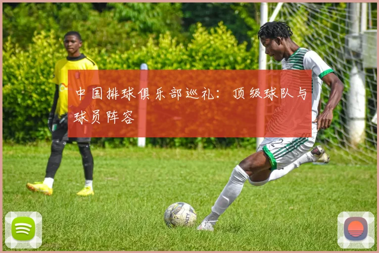 中国排球俱乐部巡礼：顶级球队与球员阵容